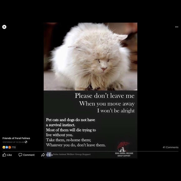 ❤️🐾Please Remember to be kind  ! 🐾❤️ - Picture 8 of 8